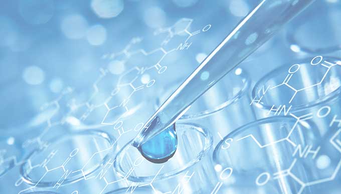 Environmental Impact and Gelatin Polysaccharide Production